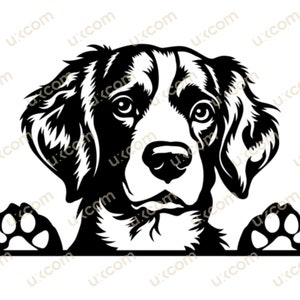 Brittany svg Brittany Peeking Dog Commercial SVG PNG EPS Clipart Brittany mamma amante dei cani Brittany cane Vector Cricut Cut Cutting File Laser