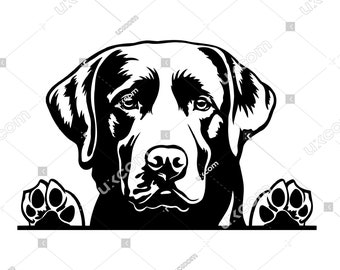 Labrador retriever Peeking Dog paws Labrador retriever SVG Breed Lab clipart Logo Commercial dxf PNG EPS Clipart  Cricut Cut Cutting File