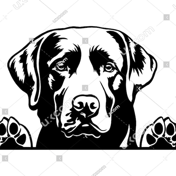 Labrador retriever Peeking Dog paws Labrador retriever SVG Breed Lab clipart Logo Commercial dxf PNG EPS Clipart  Cricut Cut Cutting File