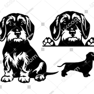 Teckel ruwharige SVG 3 teckel ruwharige gluren set commerciële schattige teckel doxie Canine CNC SVG EPS PNG vector Cricut cut-bestand
