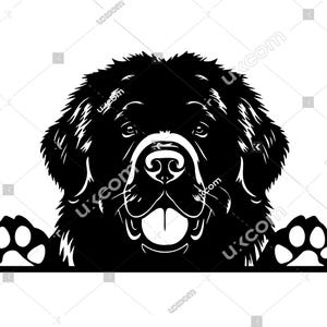 Newfoundlands Peeking Dog Breed Commercial newfoundland Canine newfoundland svg Logo SVG PNG EPS dxf Clipart Vector Cricut Cut Cutting File