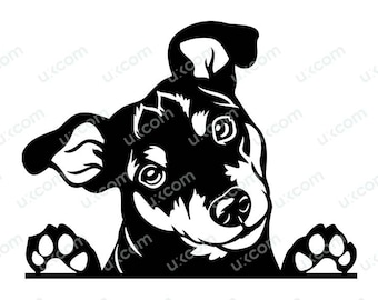 Mini Pinscher Peeking Dog mini pin svg Commercial breed Canine Miniature pinscher svg Logo Ai Dxf PNG EPS Clipart Cricut Cut Cutting File