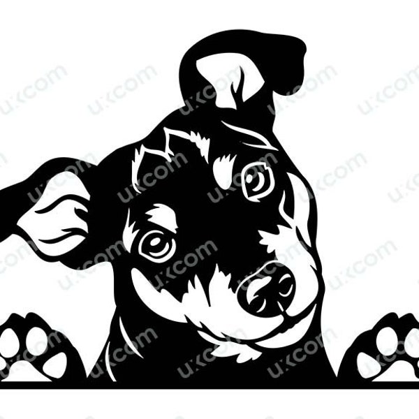 Mini Pinscher Peeking Dog mini pin svg Commercial breed Canine Miniature pinscher svg Logo Ai Dxf PNG EPS Clipart Cricut Cut Cutting File