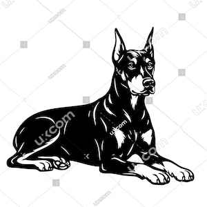 Doberman SVG, cuerpo completo, mamá doberman, comercial, doberman feliz, amante del pinscher, doberman, archivo de corte PNG, EPS, clipart, vector, Cricut, calcomanías de vinilo