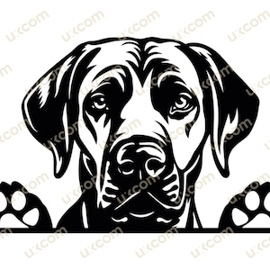 Puede incluir: Ilustración en blanco y negro de un perro Bloodhound asomándose por encima de una superficie con sus patas visibles. El perro tiene una expresión seria.