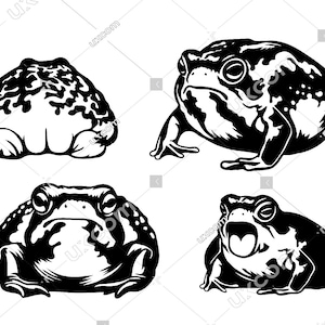 Desert rain frog svg funny frog peeking cute frog Commercial black and white cricut tshirt vinyl SVG PNG EPS Dxf Clipart Vector Cut File