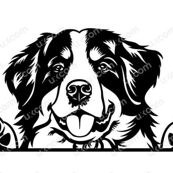 Bernese Mountain Dog Peeking svg Breed Commercial Pedigree Canine Pet Hound Animal Logo Dxf PNG EPS Clipart Cricut Cut Cutting File