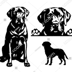 Labrador retriever Gluren Hond poten 3 zwarte Labrador retriever SVG Ras Lab clipart Logo Commerciële dxf PNG EPS lab Cricut Cut File vinyl