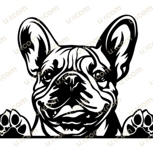 Französische Bulldogge späht Hundepfoten Kommerzieller Frenchie süße glückliche französische Bulldogge SVG Stammbaum PNG EPS Clipart Vektor Cricut Cut Cutting File