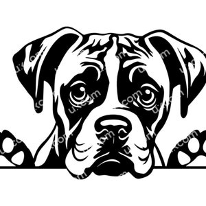 Boxer gluren SVG schattige bokser SVG hond bokser ras commerciële honden bokser puppy peek CNC SVG DXF PNG EPS clipart vector Cricut gesneden bestand vinyl