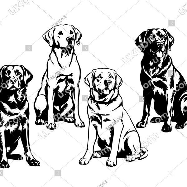 Labrador svg set 4 Full body labrador clipart bundle dog Breed retriever mom Lab Logo Commercial dxf PNG EPS Clipart Cricut Cut Cutting File