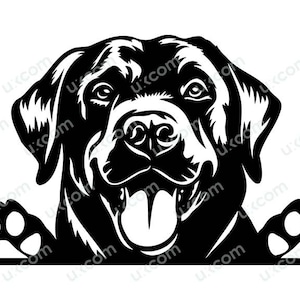 Black Labrador svg Peeking lab Dog Commercial black Lab mom happy labrador cute Logo SVG PNG EPS Clipart Vector Cricut Cut Cutting File