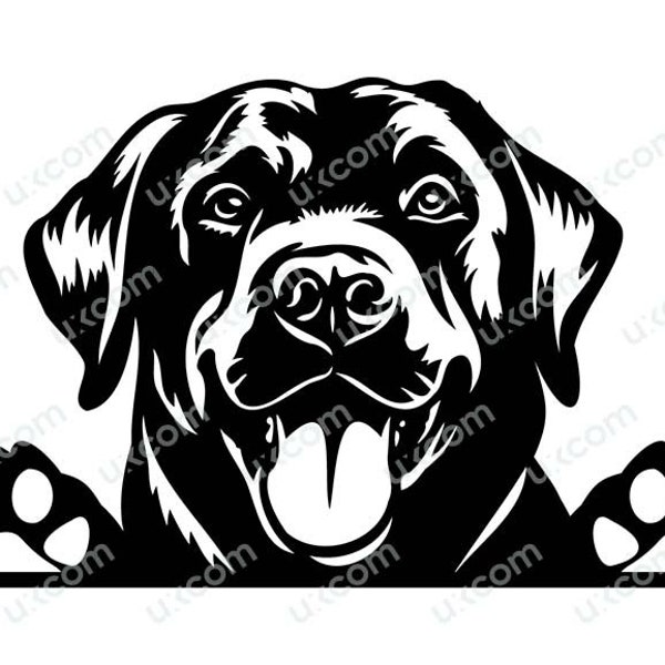 Black Labrador svg Peeking lab Dog Commercial black Lab mom happy labrador cute Logo SVG PNG EPS Clipart Vector Cricut Cut Cutting File