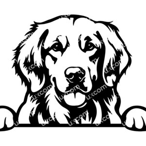 Golden retriever Peeking Dog schattige golden retriever svg labrador Commerciële Canine CNC Dxf SVG PNG Eps Clipart Vector Cricut Cut-bestand vinyl
