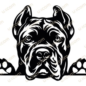 Cane corso Gluren svg Commercieel Ras Cane corso cricut gesneden bestand Pet Logo SVG PNG EPS Clipart Vector Cut Cutting laser vinyl stickers tshirt