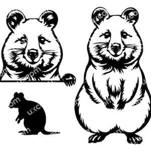 Quokka SVG Quokka Gluren Australische Quokka dier commerciële schattige quokka CNC SXG Dxf Png EPS Quokka Clipart Cricut Cut bestand vinyl laser