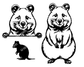 Quokka svg Quokka Peeking Australian Quokka animal Commercial cute quokka CNC SXG Dxf Png EPS Quokka Clipart Cricut Cut File vinyl laser