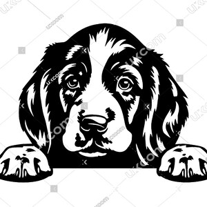 May include: Black and white illustration of a dog peeking over a surface with its paws visible. The dog has floppy ears and a cute expression.