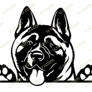 Akita americano Peeking Dog Commerciale akita razza felice akita clipart cane akita SVG PNG EPS Clipart Vector bulldog Cricut Cut Cutting File