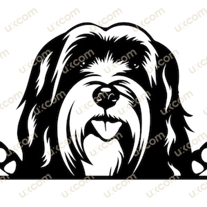 Tibetan terrier svg Tibetan terrier Peeking Dog paws Commercial breed canine PNG EPS Clipart Vector Cricut Cut Cutting File laser pedigree
