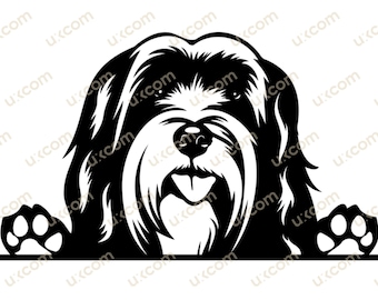 Tibetan terrier svg Tibetan terrier Peeking Dog paws Commercial breed canine PNG EPS Clipart Vector Cricut Cut Cutting File laser pedigree