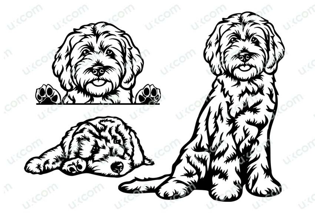 Labradoodle Goldendoodle Peeking Dog Commercial Set Doodle Momlover ...