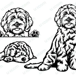 Labradoodle Goldendoodle Set Commerciële Ras Stamboom Canine Pet Logo SVG PNG EPS Clipart Vector Cricut Cut Cutting File