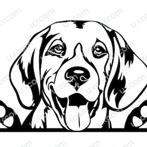 Beagle espiando cachorro sorrindo comercial filhote de cachorro patas pedigree linhagem animal de estimação BreedLogo .SVG .PNG Clipart Vector Cricut Cutting
