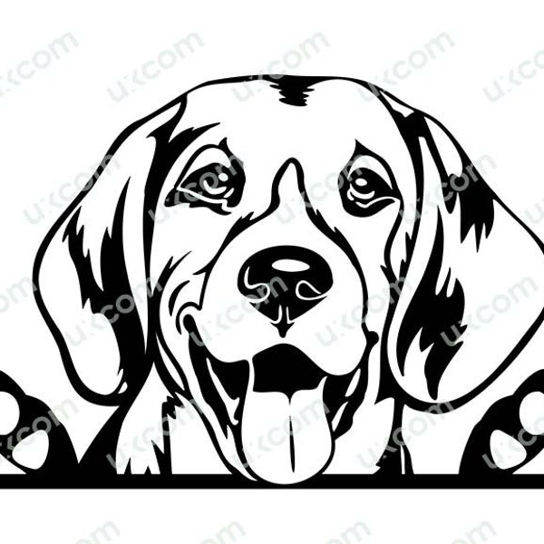 Beagle Peeking Dog Smiling Commercial Puppy Paws Pedigree Bloodline Pet BreedLogo .SVG .PNG Clipart Vector Cricut Cut Cutting