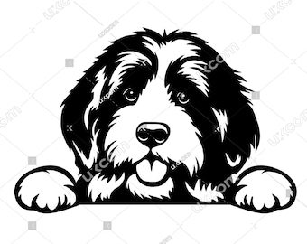 Bernedoodle peeking happy bernedoodle svg Commercial cute bernedoodle mom Bernedoodle CNC DXF Svg Png EPS  Clipart Vector Cricut Cut File