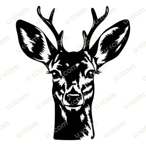 Kleines Reh Porträt SVG Schnittdatei Cricut niedliches Reh Daniel Baby T-Shirt Tassen Design Clipart kommerzielle Grafik Vinyl Aufkleber Waldtiere