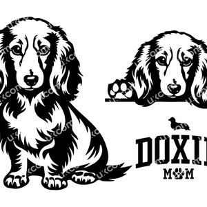 Bassotto a pelo lungo Peeking Dog svg bundle set doxie Razze commerciali bassotto Logo decalcomanie in vinile. SVG. PNG Clipart Vector Cricut Cutting