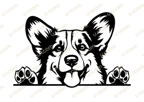 Corgi Peeking Dog corgi svg Breed Pembroke Welsh Corgi Commercial clipart Animal Logo SVG PNG EPS dxf Clipart Vector Cricut Cut Cutting File
