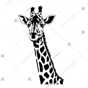 May include: Black and white silhouette of a giraffe's head and neck. The giraffe is looking to the side with its mouth slightly open.