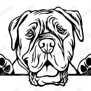 Hond de Bordeaux Gluren Hond de Bordeaux SVG Commerciële Ras Canine Svg Dxf Png Eps Hond de Bordeaux Clipart Cricut Cut Bestand vinyl laser