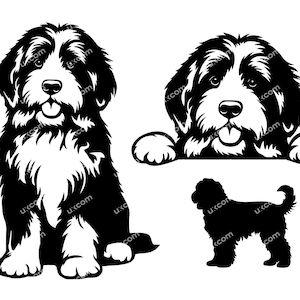 May include: Black and white silhouette illustration of a bearded collie dog sitting, standing, and peeking over a surface.