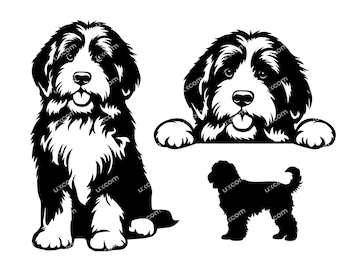 Bernedoodle peeking happy bernedoodle svg 3 Commercial cute bernedoodle mom Bernedoodle CNC DXF Svg Png EPS  Clipart Vector Cricut Cut File