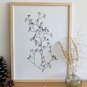 Poster 30x40cm - Umbel grasses