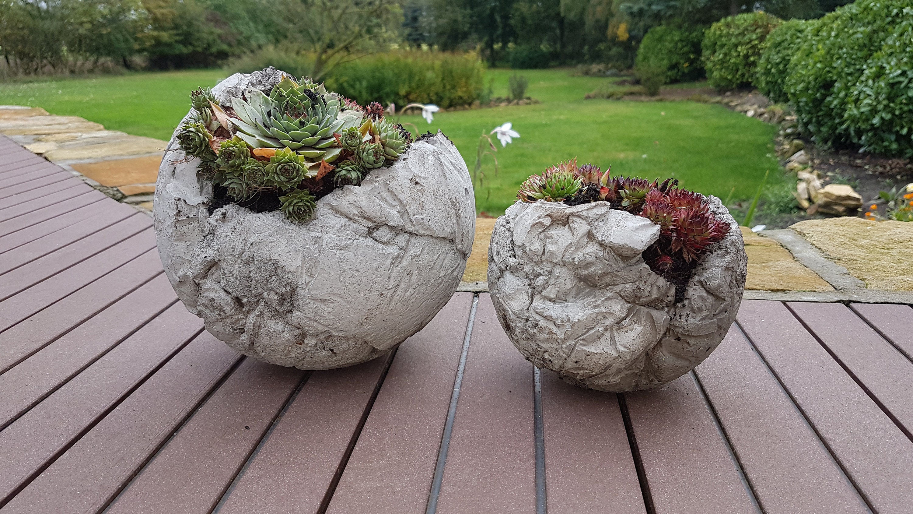 Orangen garten