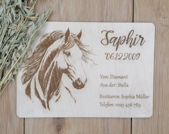 Personalisiertes Holz Pferdeboxenschild Namensschild Pferdename Besitzer Hufschmied Tierarzt Stalltafel