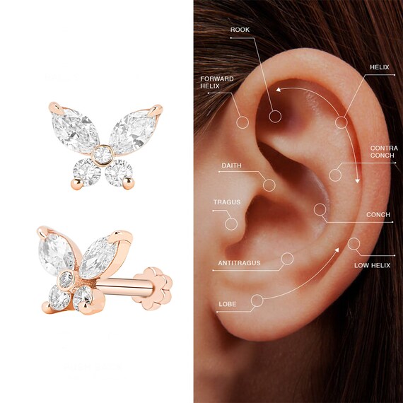 Diamond conch new arrivals