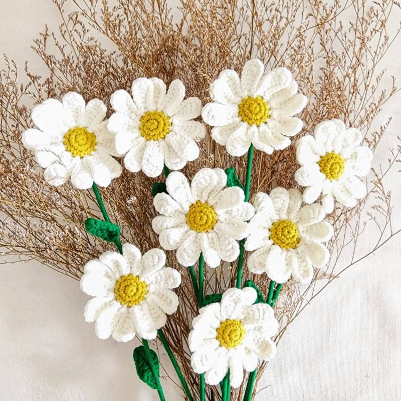 Daisies Crochet Matching Set