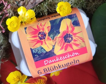 Mitbringsel-kleines Geschenk-ausgefallene Idee-bunte Blumenmischung, Das Geschenk mit persönlicher Botschaft, Geburtstagsgeschenk Seedballs