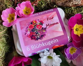 Small gift for Mother's Day, souvenir for grandma, gift for friend, neighbor, teacher, souvenir, flower ball, flower seeds