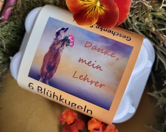 Mitbringsel-kleines Geschenk-ausgefallene Idee-bunte Blumenmischung, Das Geschenk mit persönlicher Botschaft, Geschenk für Lehrer  Seedballs