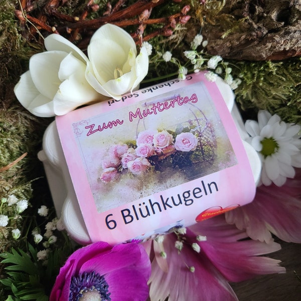 Kleines Geschenk  für Mama. Oma, Freundin, Nachbarin, Erzieher, Mitbringsel, Blühkugel, Blumensamen