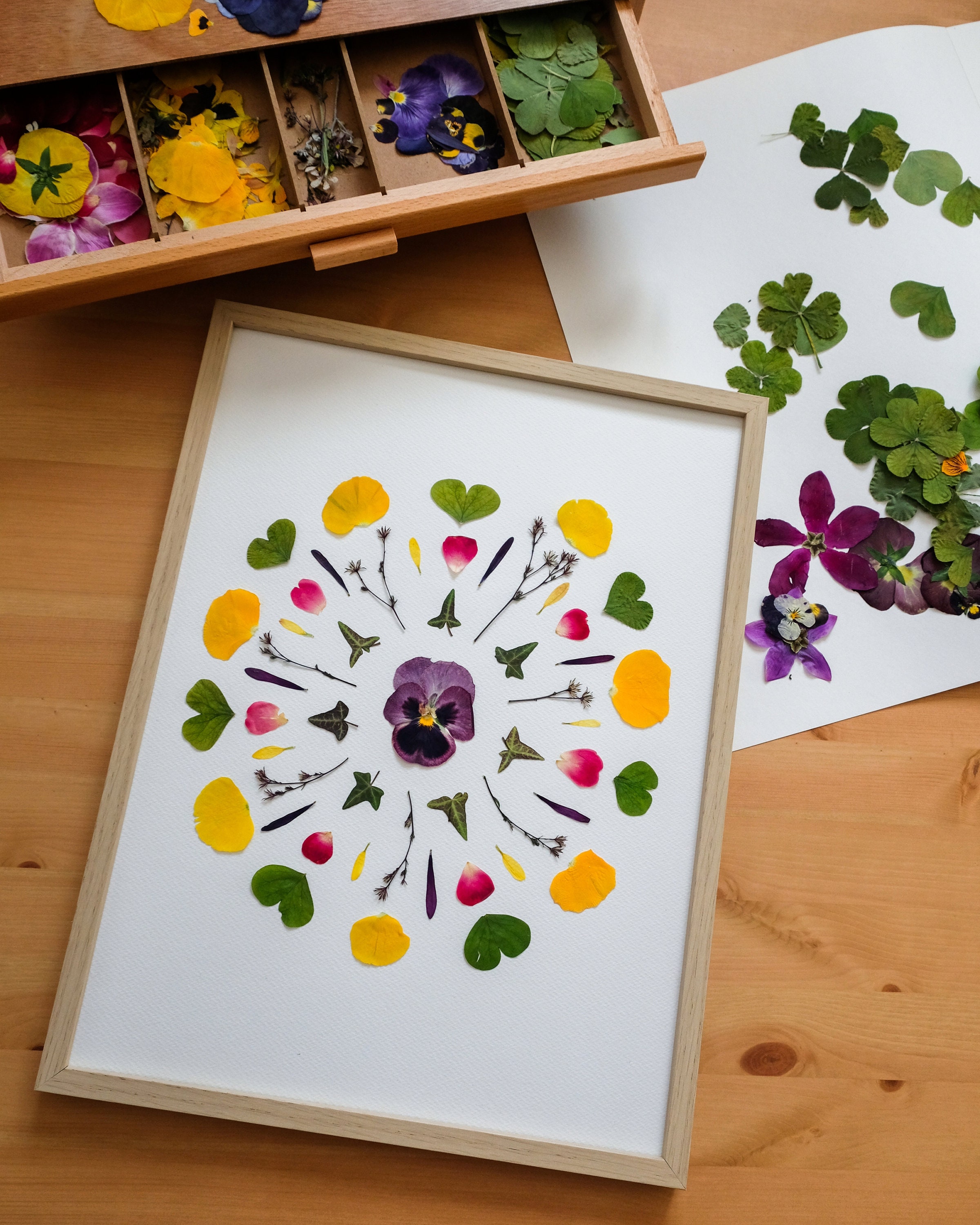 Herbier Mandala 30x40 cm/Harmonie Méditation Pansy Anniversaire Fleurs Pressées Cadeau Saint-Valenti