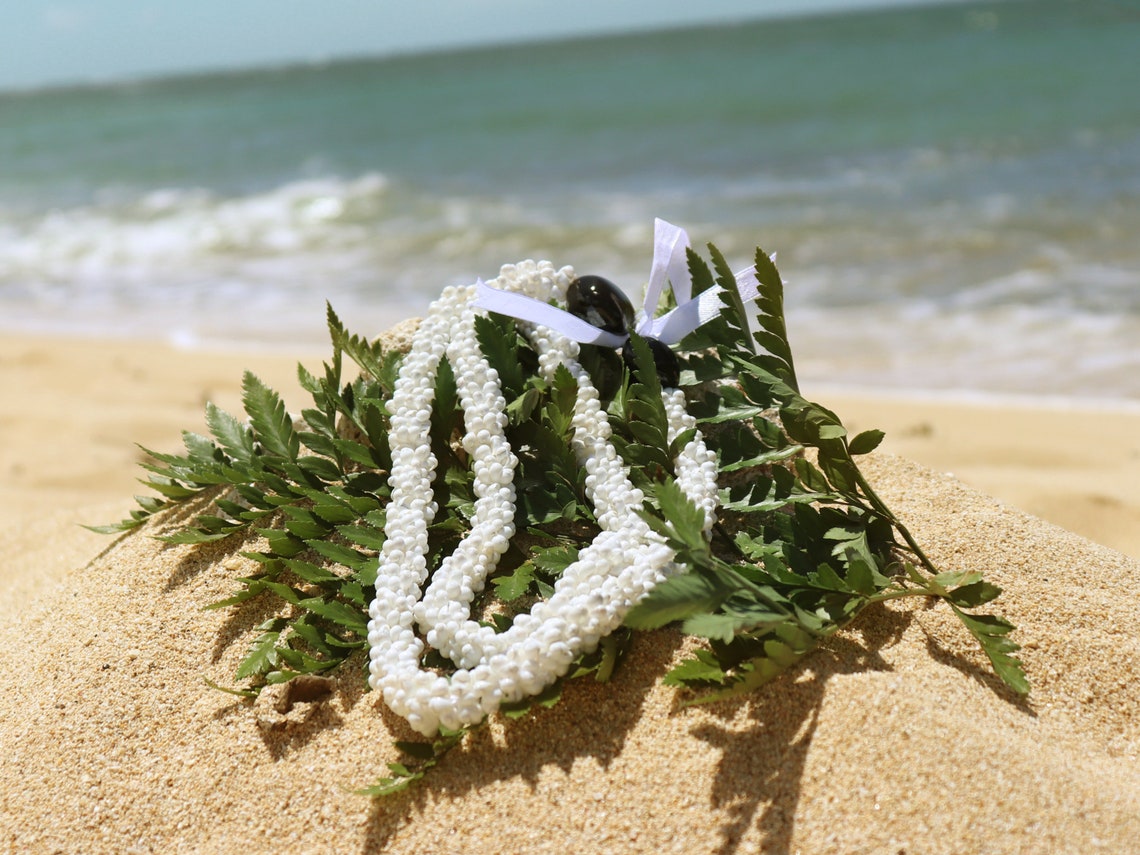 Hawaiian Christmas Box Hawaiian Christmas Box Christmas Gift Hawaii