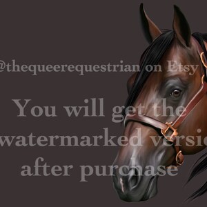 Conquistador Whiz Portrait