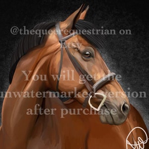 Bay Hunter Horse